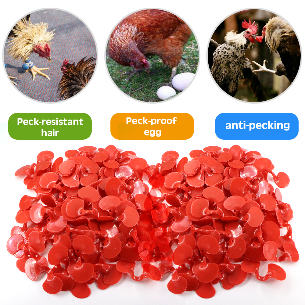 Red Chicken Glasses Plastic Pheasant Anti-pecking Goggles Glasses with Bolt Protect Eyes Feeding Farm Poultry Hens accessories