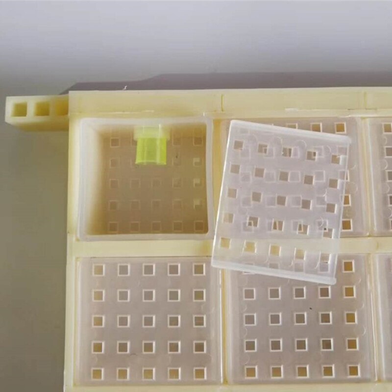 Multifunctional Plastic Queen Bee Storage Device B... – Vicedeal