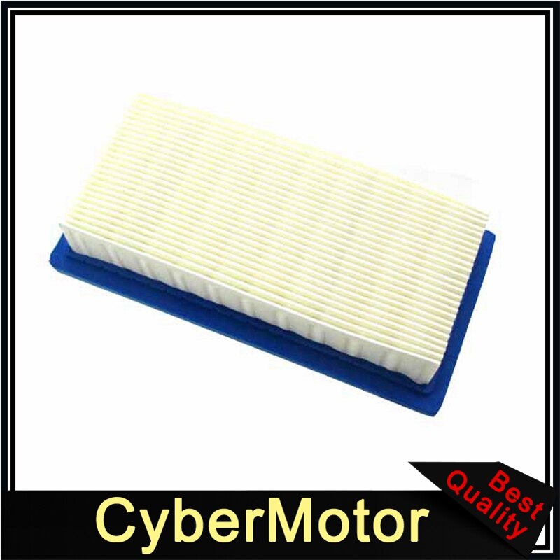 Luchtfilter Voor Briggs & Stratton 496077 691643 176400 19B400 19E400 256400 Generac 0691643 1691643 691643 John Deere AM34093