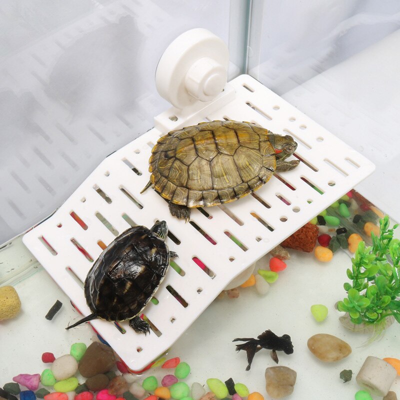 1 stk plast skildpadde dekoration bask platform crawler sol tagterrasse ø skildpadde klatre hylde akvarium værktøjer: 19 x 12cm justerbar