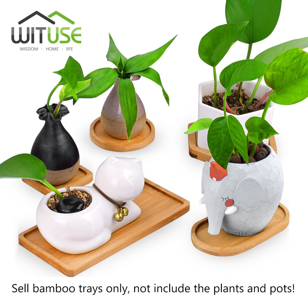 Wituse 12 stile blomsterkasser underkop keramisk sukkulent plantepotte potter bambus stativ desktop geometri glaseret vase bambus bakke