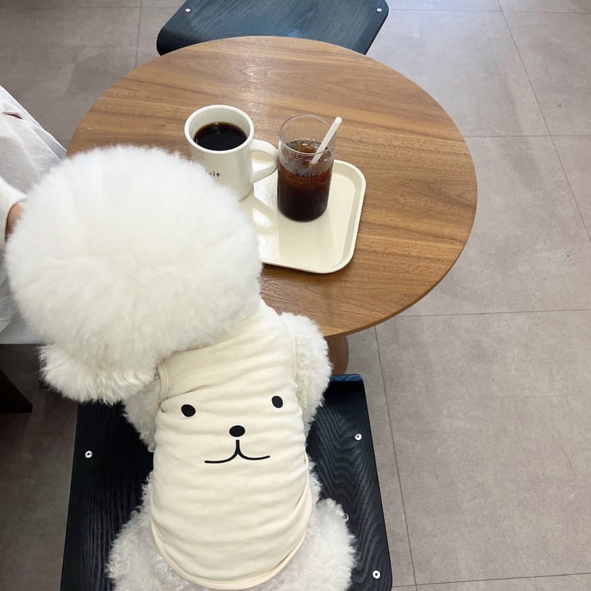 Camiseta fina para cães gatos filhote de cachorro verão colete teddy pomeranian pequeno médio respirável roupas para cães regatas para animais de estimação traje: XL / Verde