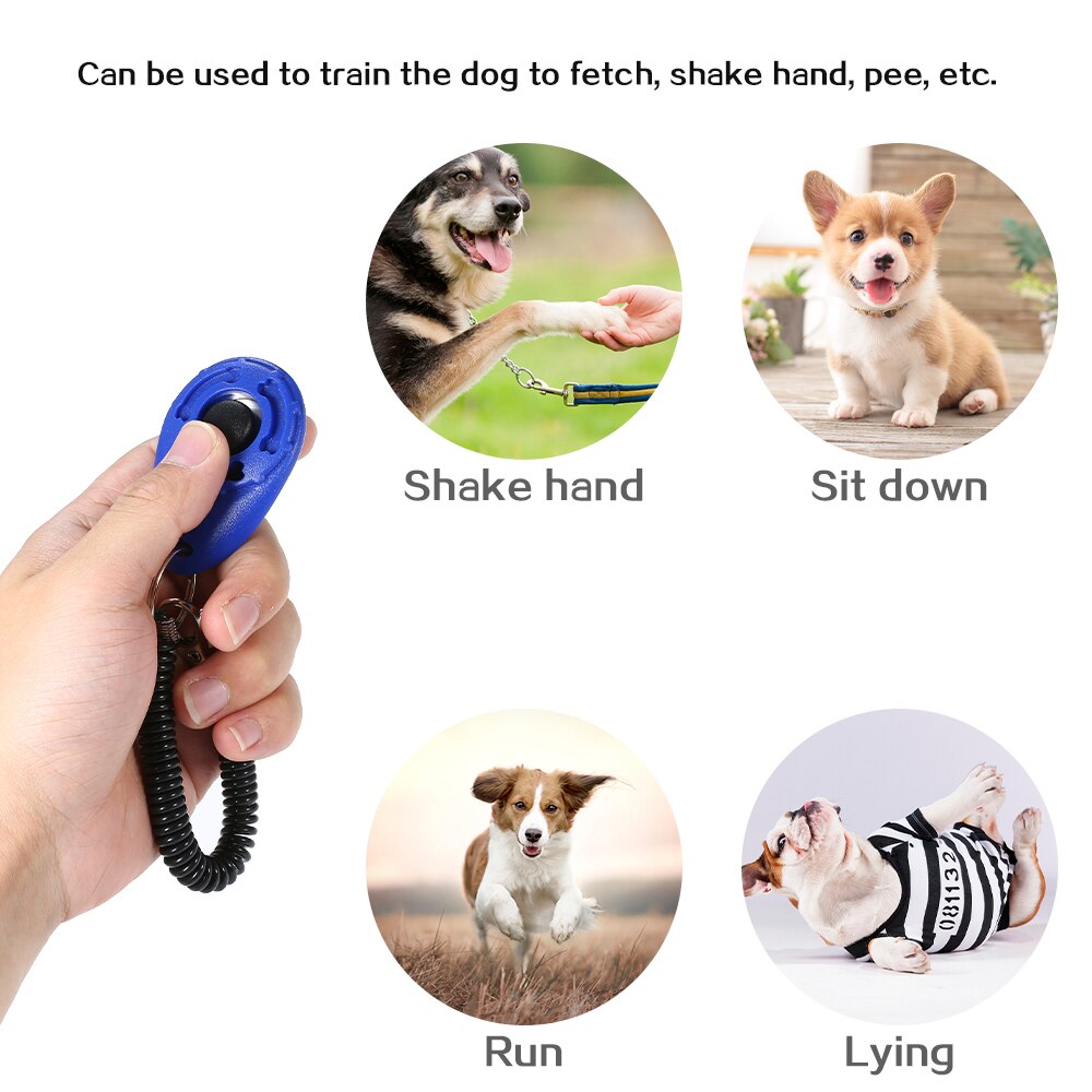 4 teile/satz Hund Ausbildung Clicker mit Elastische Spirale Handgelenk Band für Hund Spielen Spielzeug Einstellbar Handgelenk Gurt Klang Schlüssel Kette