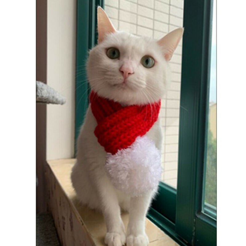 Animal de compagnie chien chat cou écharpe doux noël tricot écharpe pour grands chiens moyens hiver plus collier de chien accessoires pour animaux de compagnie