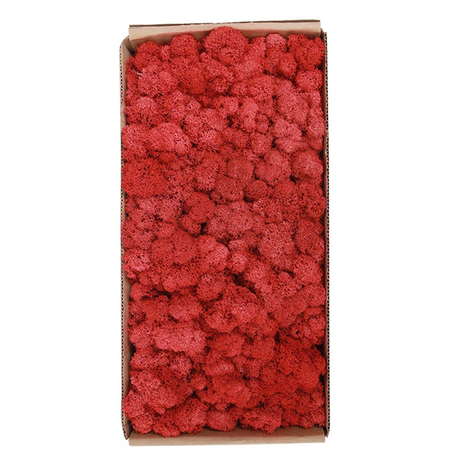 Preserved Moss Wall Decor Real Preserved Moss No Maintenance Required Naturally Preserved Moss Home Wall Party Festivals Crafts: Type 17