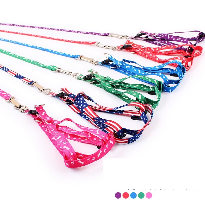 Conjunto de arnés y correa con estampado de hueso para perro, conjunto de para Chihuahua, para perros pequeños, accesorios ajustables para cachorros que caminan, Verano