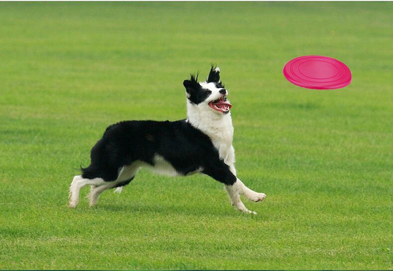 Blødt foldbart kæledyrshunde legetøj flyvende skive træning silikone blødt kæledyrs legetøj kæledyrstræning hundeforsyninger