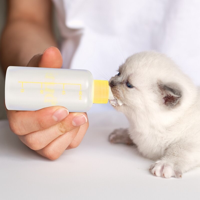 Puppy Nursing Bottle Kit Dog Cat Puppy Milk Feeding Bottle With 4 Replacement Nipples Milk Feeder Care Set And Nipple Brush