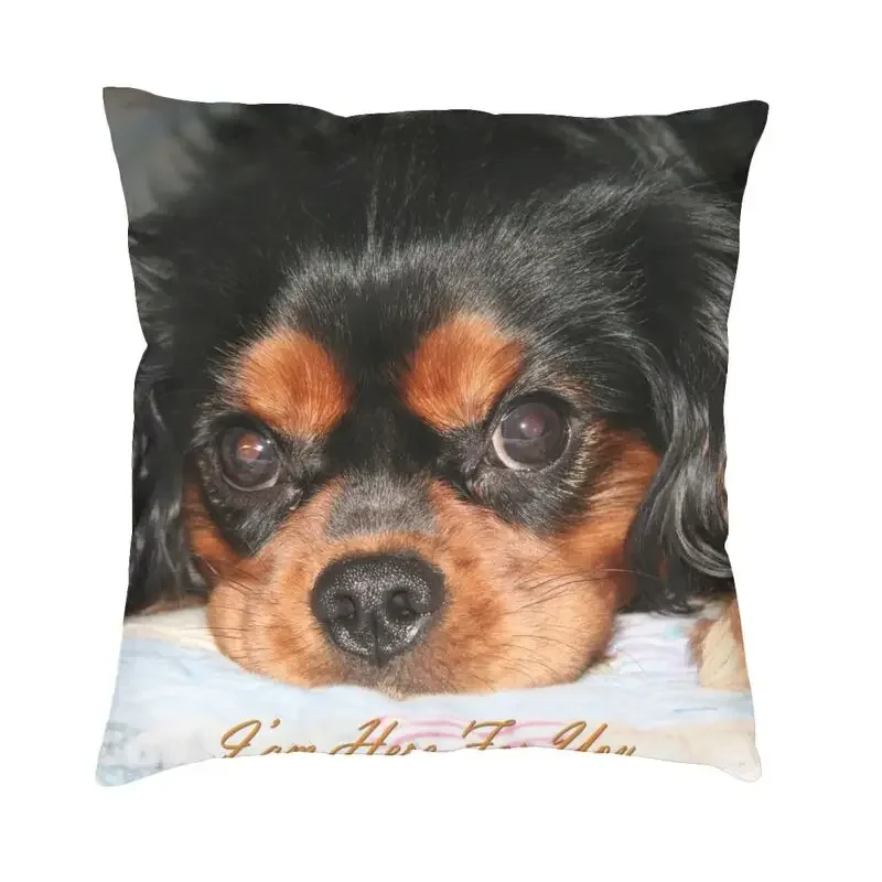 Cavalier King Charles Spaniel funda de almohada – Grandado