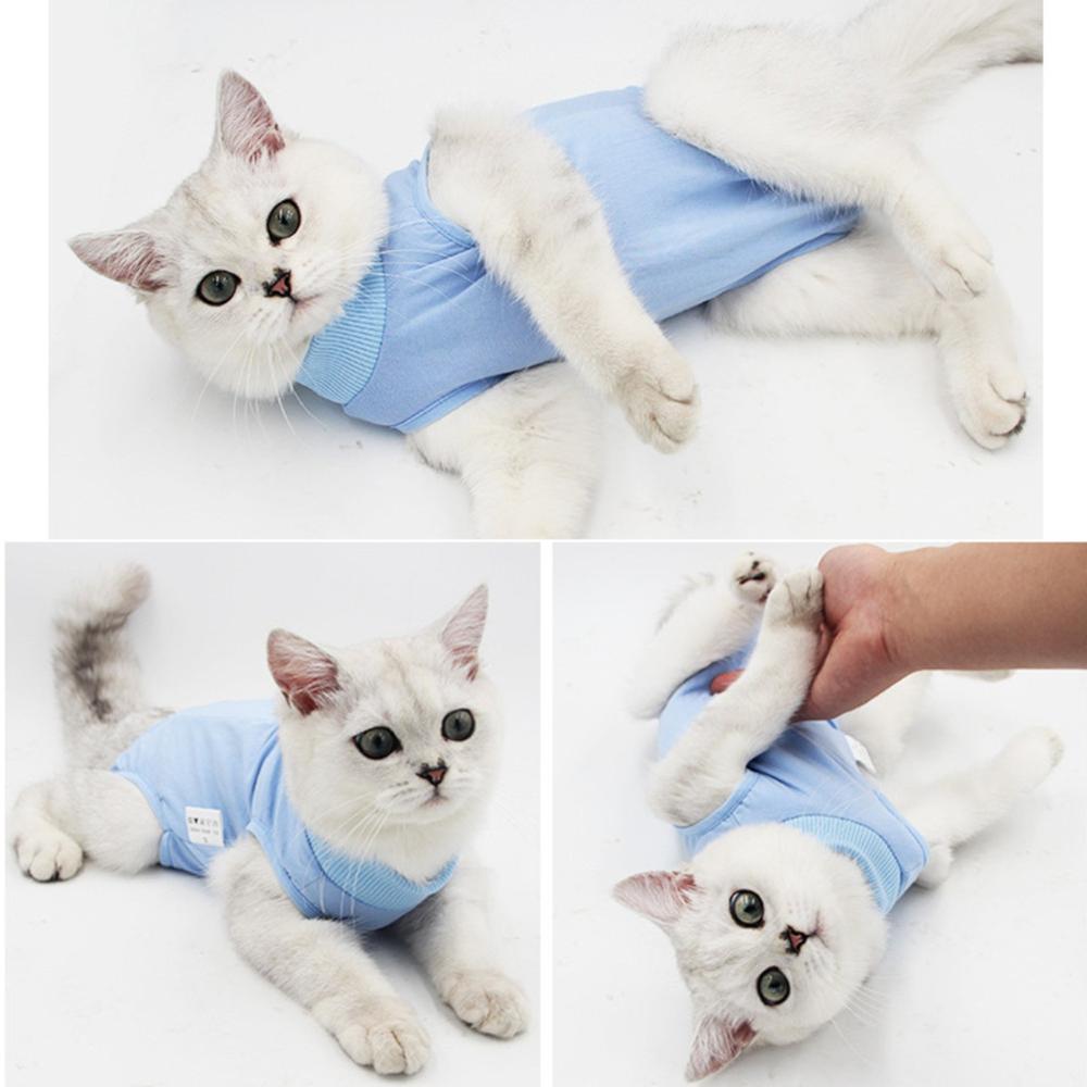 Vêtements de chirurgie de stérilisation pour chat, combinaison physiologique en coton respirant, vêtements de récupération pour chaton féminin