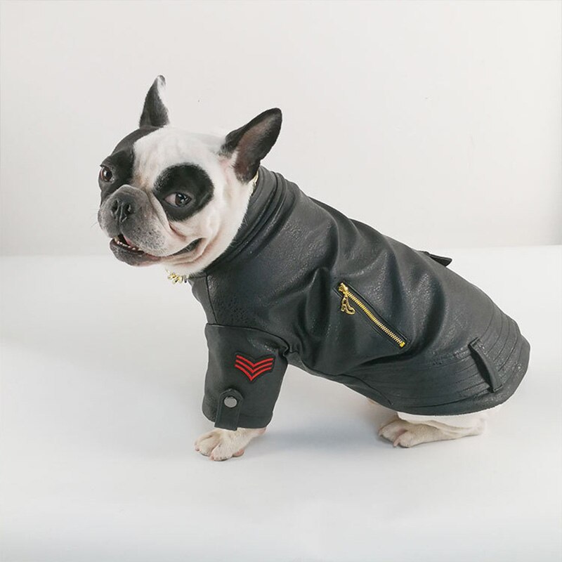 Vinter vindtæt hundefrakke jakke fransk bulldog kæledyrstøj varmt pu læder hundetøj til små store hunde hvalpe kæledyrstøj
