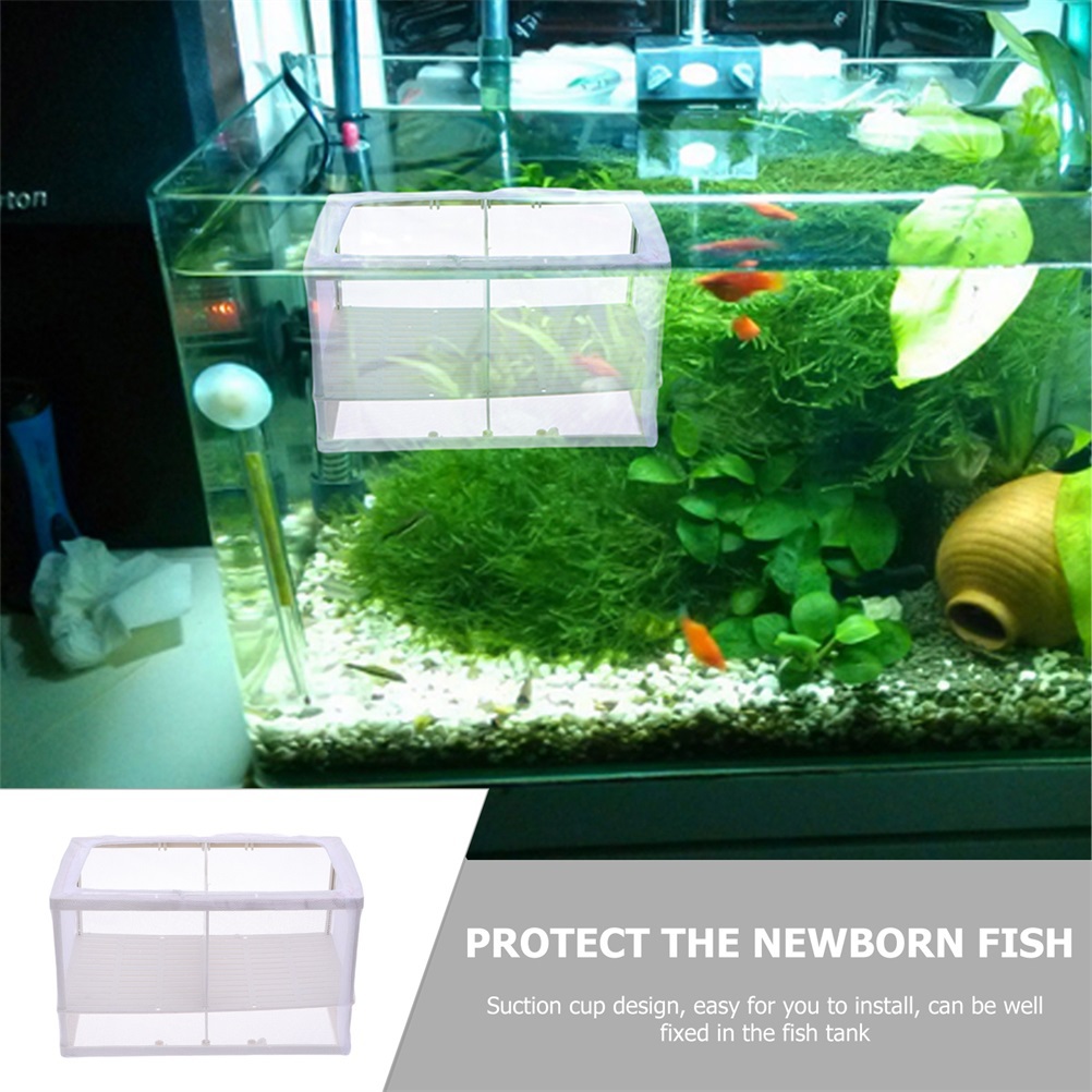 2 Stuks Fish Tank Fok Doos Aquarium Fokken Tank Vis Uitkomen Doos Geïsoleerd Fokken Tank Voor Thuis Aquarium Kantoor Vis tank