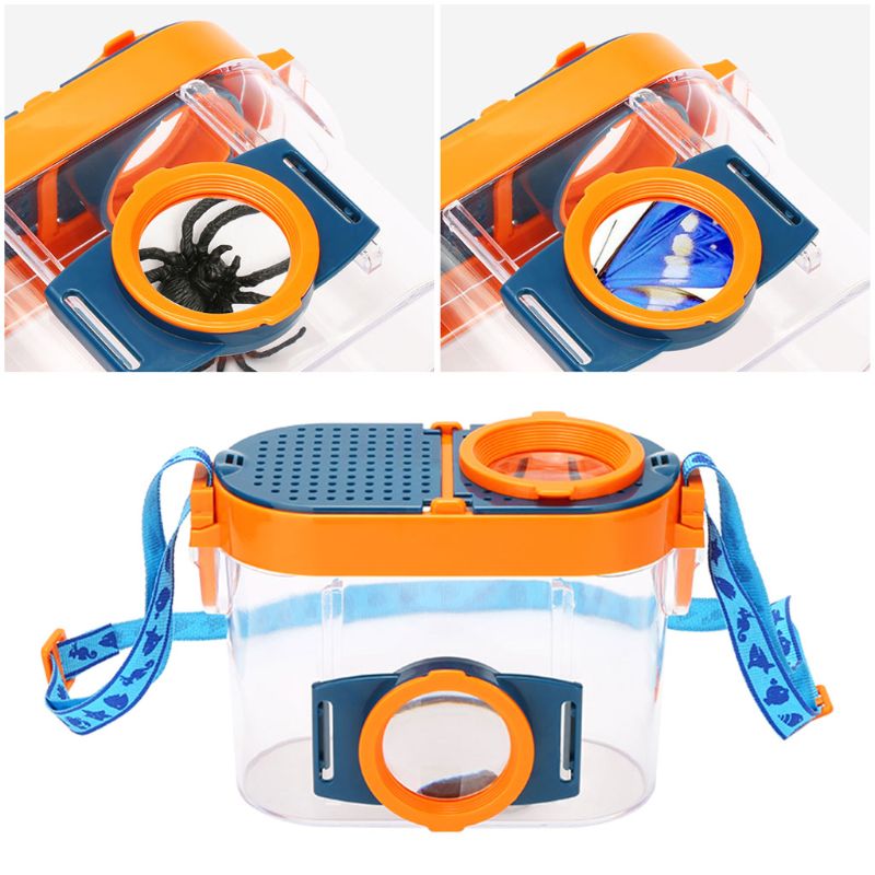 Vision d&#39;insecte avec Microscope grossissant, Observation de classe de Science pour enfants
