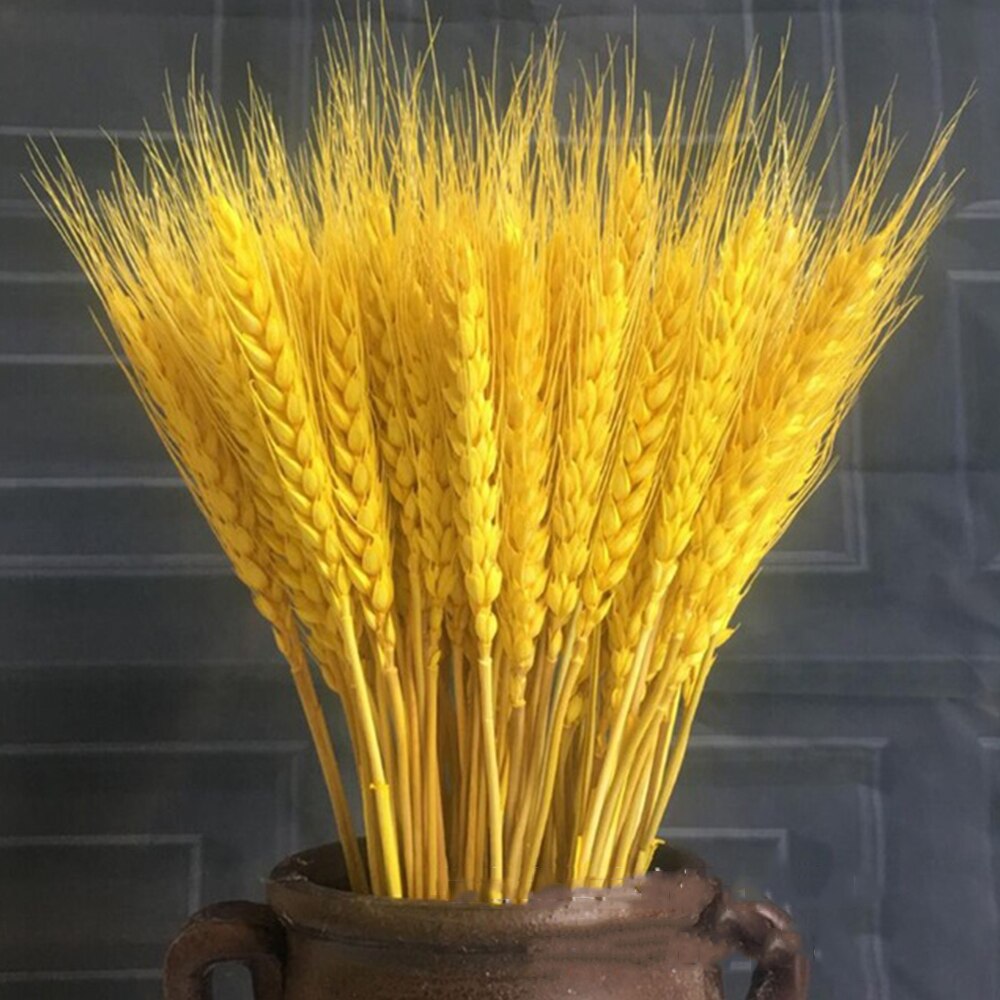 50Pcs/lot Real Wheat Ear Flower Natural Dried Flowers or Wedding Party Decoration DIY Craft Scrapbook Home Decor Wheat Bouquet