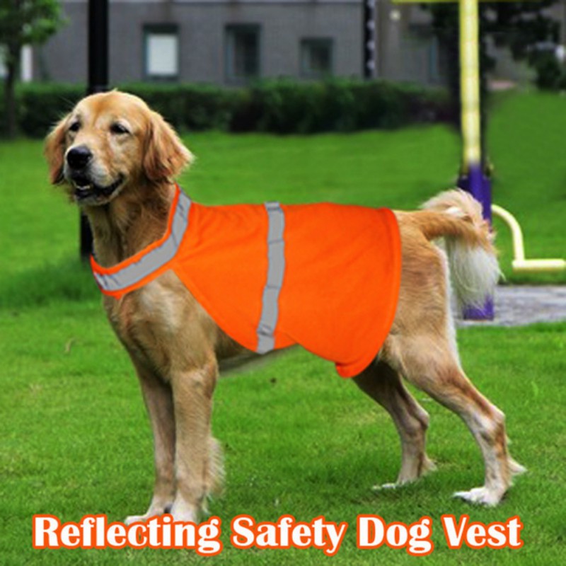 Hond Kat Reflecterende Vest Fluorescerende Veiligheid Vest Pet Wandelen Security Kleding Veilig Lichtgevende Waterdichte Huisdier Kleding Benodigdheden