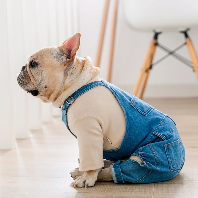 Dongeri hundekåpe høst vinter kjæledyr hunder klær fett hund klær kjæledyr klær fransk bulldog valp kostyme mopper hunder jakke