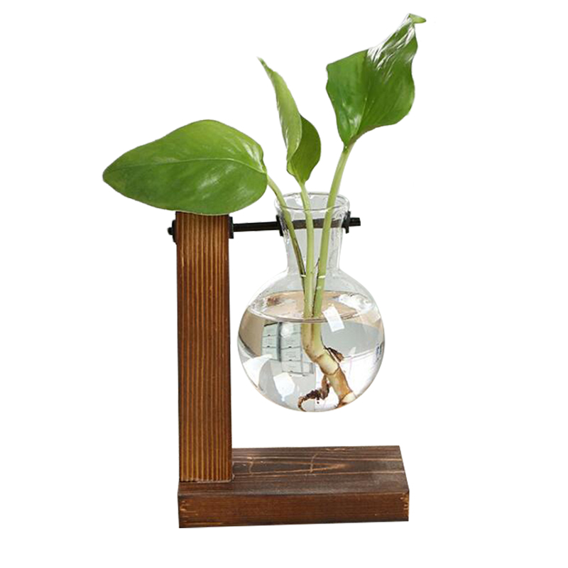 Hydroponic plante vaser vintage blomsterpotte gennemsigtig vase træramme glas bordplade planter hjem bonsai indretning: Skriv en