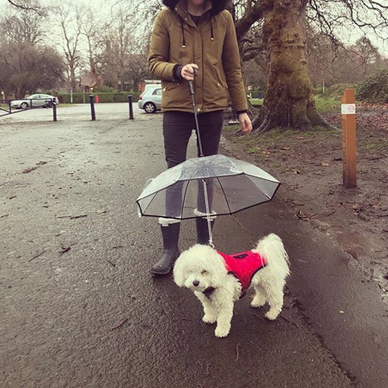 Pet Paraplu, Hond Wandelen Paraplu, Met Leiband, Geschikt Voor Kleine Honden