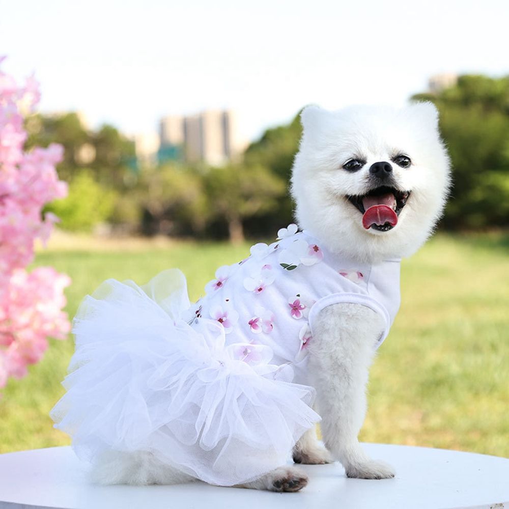 Sweet Lovely Dog Dress Flowers Lace Chiffon Dog Skirts Spring Summer Puppy Clothes Party Birthday Wedding Dress: S / white