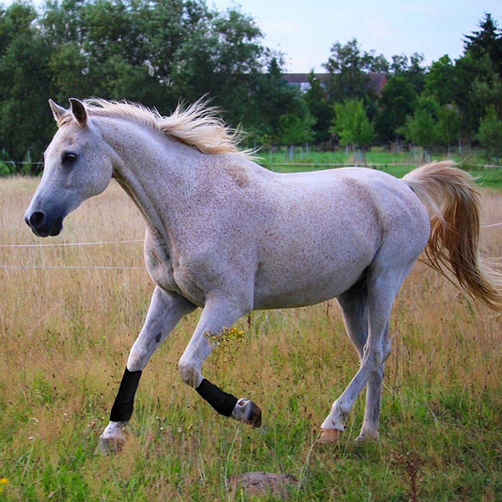 Morbida Flanella Cavallo Legging Protezione Equitazione Attrezzature Equestri Cavallo da corsa Esercizio stivali Attrezzature