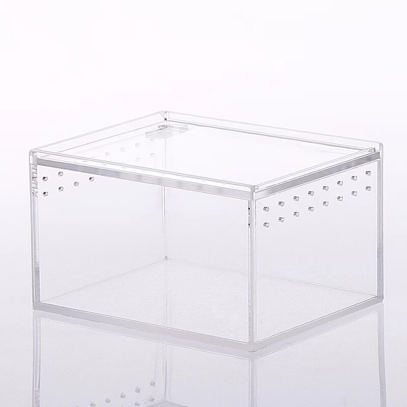 Reptile Breeding Box Large Acrylic Transparent Sliding Cover Reptile Tank Insect Spider Tortoise Lizard Feeding Box Terrarium: 30x20x15cm