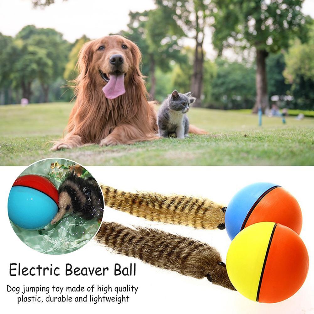 1PC Electric Pet Dog Cat Toys Beaver Weasel Toy Rolling Jump Balls Toys For Dog Puppy Dogs Funny Moving Toys Pet Supplies Random