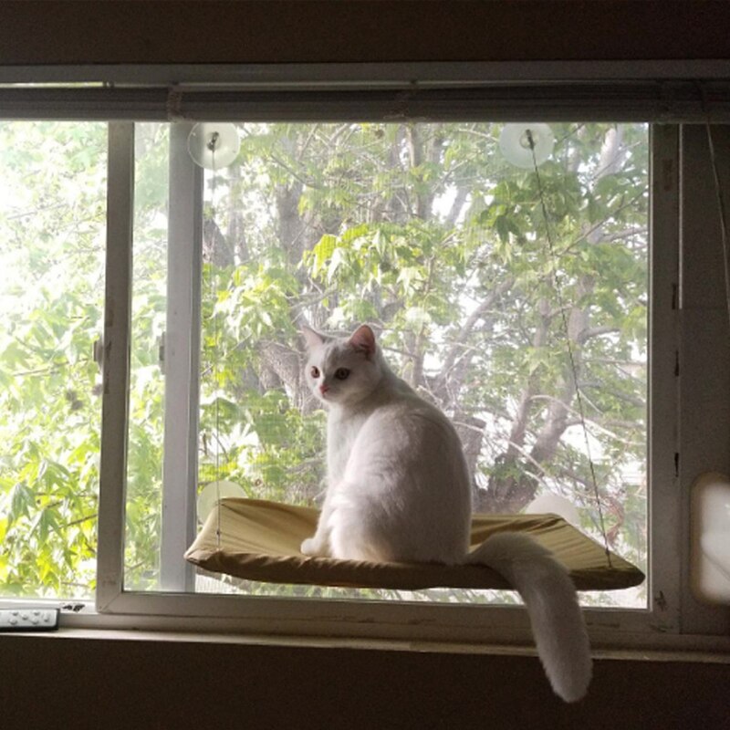 Hamaca para gato doméstico, cómoda ventana de cristal soleada, asiento tipo estante, esterilla para descanso de gatitos, camas colgantes, rodamiento de 20kg: Blanco