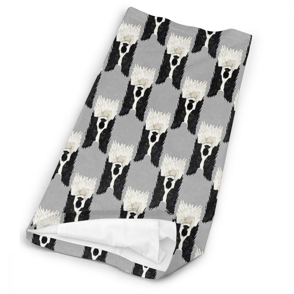 Hermosa Border Collie bufandas Bandana
