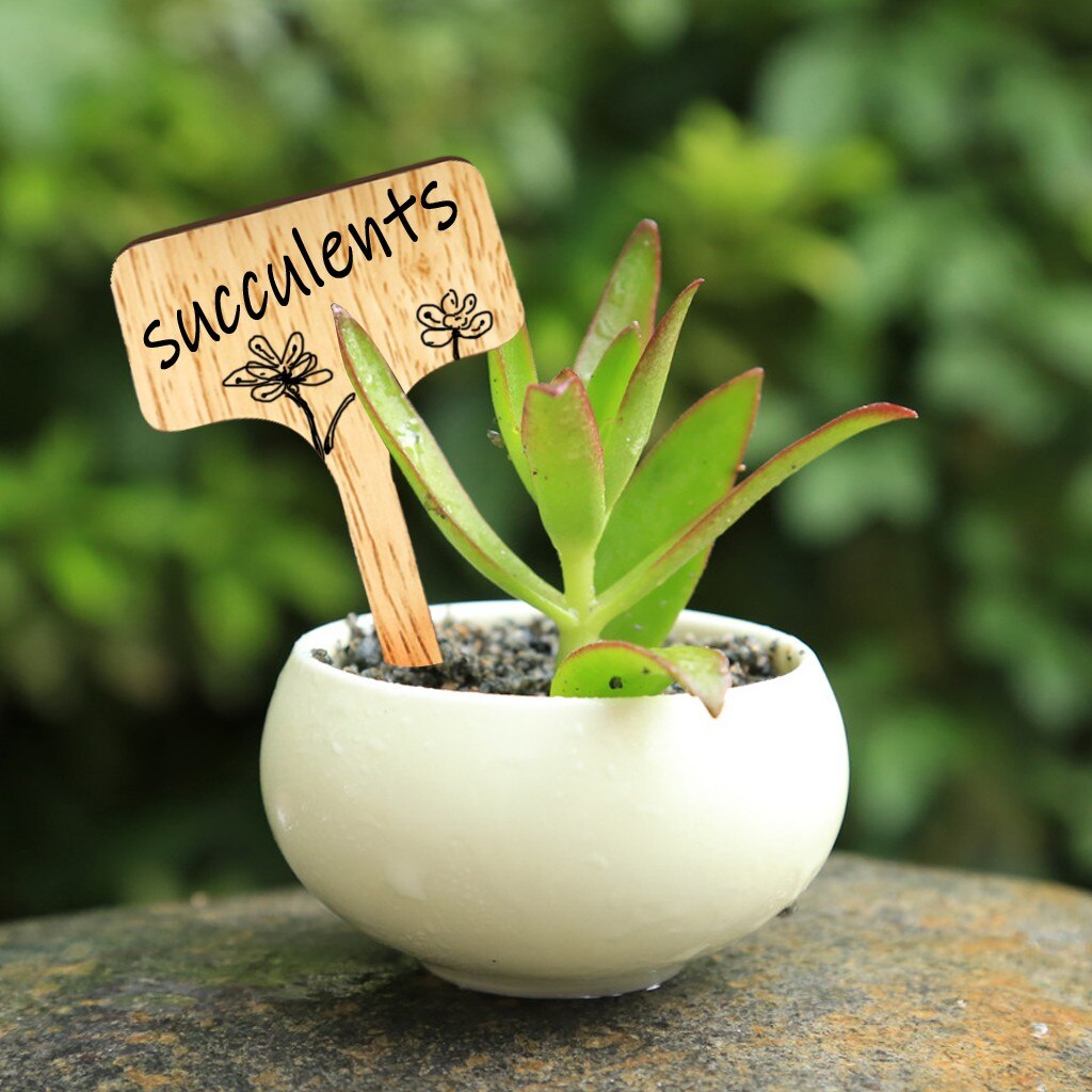 50Stck Bambus Anlage Etiketten Umweltfreundliche T-Typ Holz Zeichen Schild Hause Garten Marker
