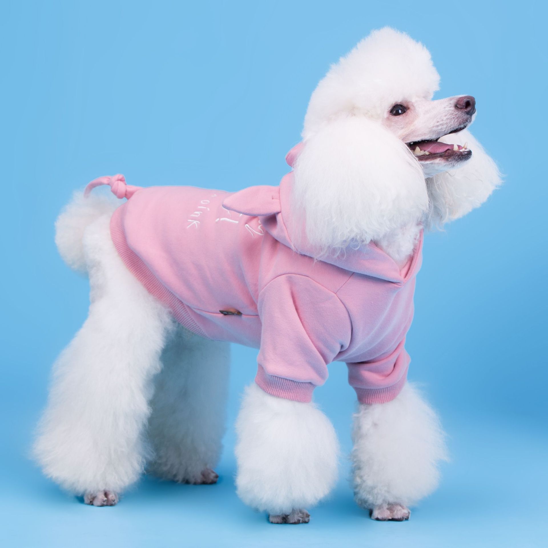 Hond Kleren Herfst En Winter Hond Kleding Katoen Elastische Pluche Sanitaire Hond Hoodies Huisdier Kleding Winter