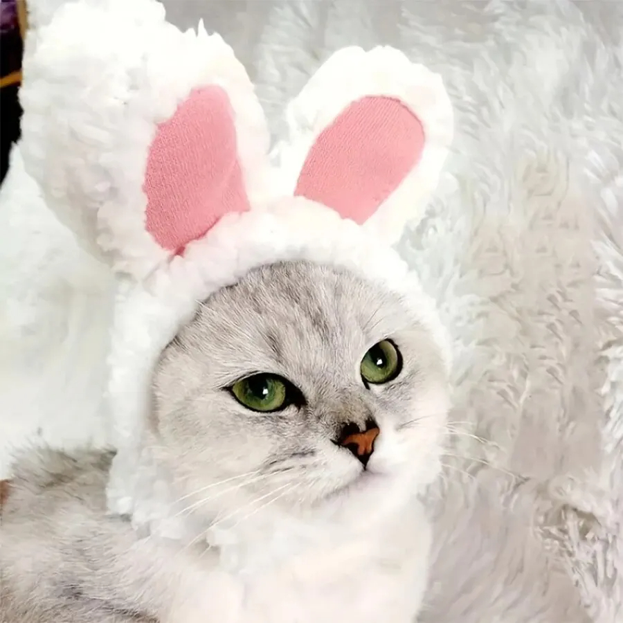 Gorro de gato y conejo, oso de peluche para perros transformado en el casco, orejas de gato Garfield y conejo, famoso sombrero para mascotas en Internet