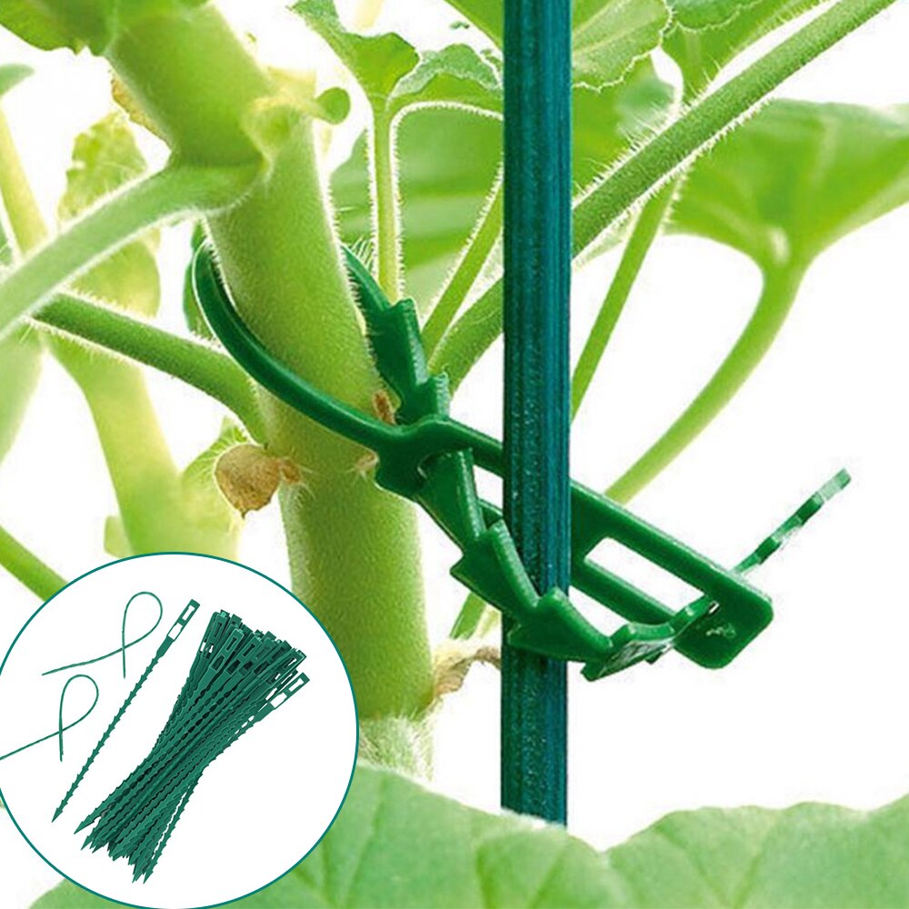 50/30PCS Plastic Plant Cable Ties Reusable Ties Garden Tree Climbing Growing Support Adjustable Fishbone Spur Tie Garden Tools