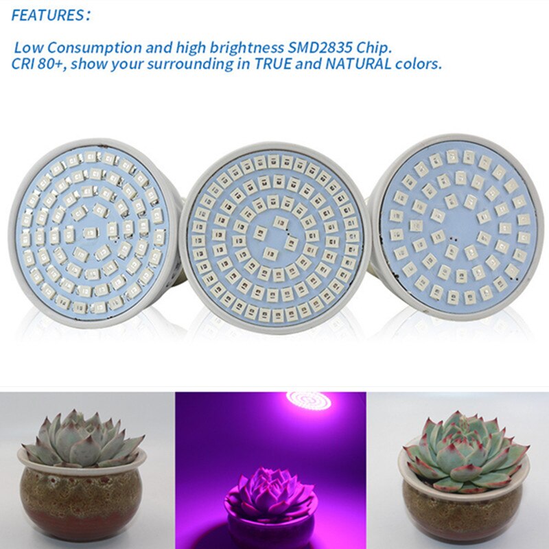600w fullt spekter  e27 220v led plante vokse lyspære fitolampy phyto lampe for innendørs hageplanter blomst hydroponics vokse