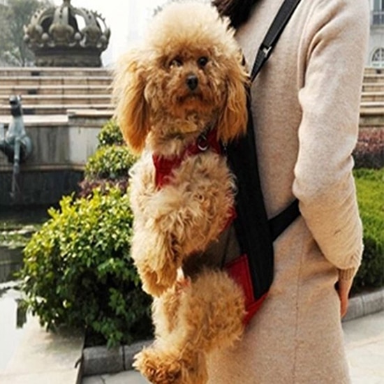 Mochila De Transporte al aire libre para mascotas, bolso de hombro con correa frontal para cachorros, perros y gatos, a la