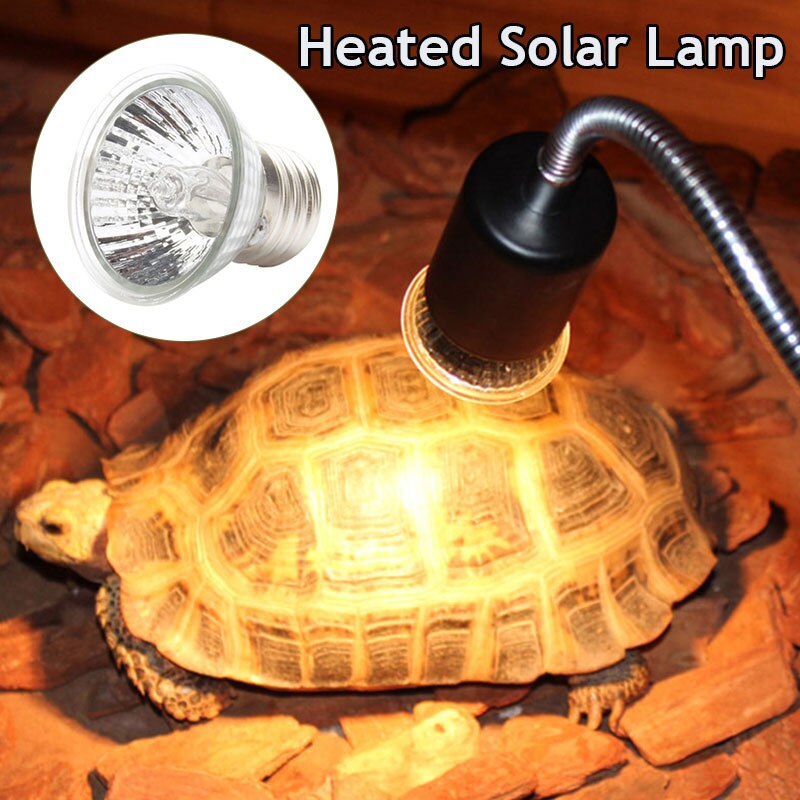 110V/220 lampa gadów lampa grzewcza dla zwierząt żarówka żółw wygrzewanie się żarówka UV lampa robić opalania lampa słoneczna regulator temperatury