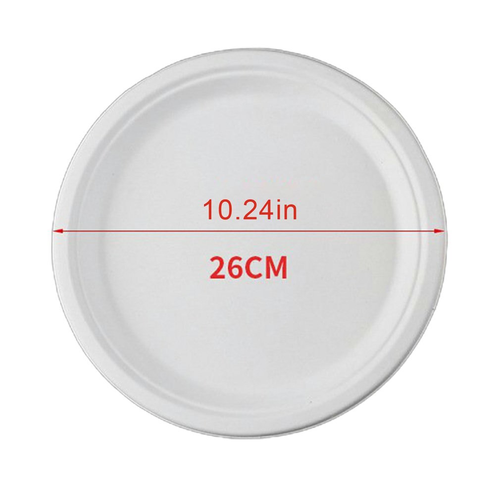 Disposable sugarcane pulp round Paper plate Children's handmade diy kindergarten art painting food grade sugarcane pulp: 10 inch