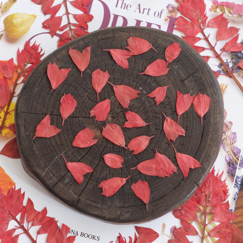 1-2 cm/40 stks, gedroogde tulp bloemknoppen geperste bloemen DIY ambachtelijke benodigdheden voor nail art, hars sieraden, telefoonhoes fotolijst decor