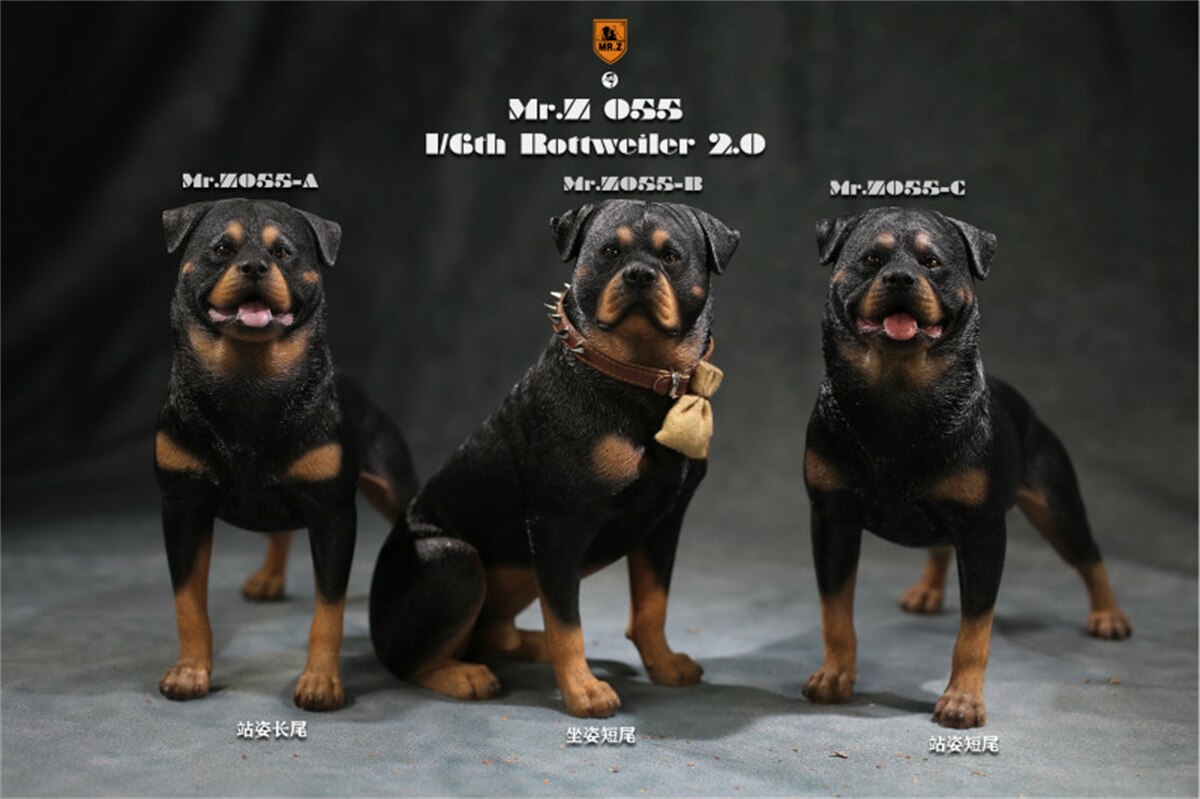 Mr.Z Studio 1:6 Rottweiler Figure Cute Police Pet Dog Animal Model Collector Decor Kid Resin Office Desktop Accessories