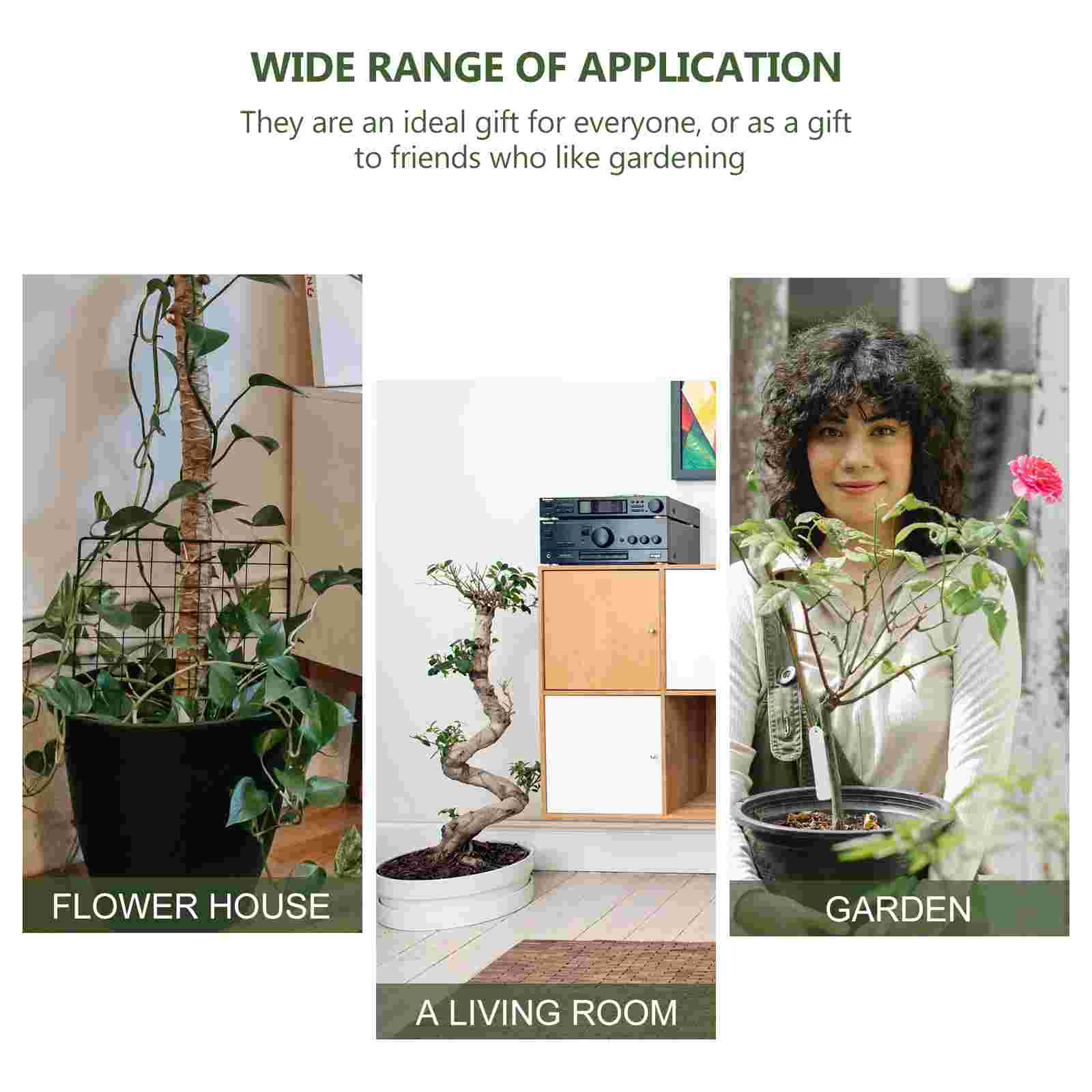 2Pcs Rectangular Flowerpot Vegetables Planting Pots Plants Pot for Home Balcony Garden