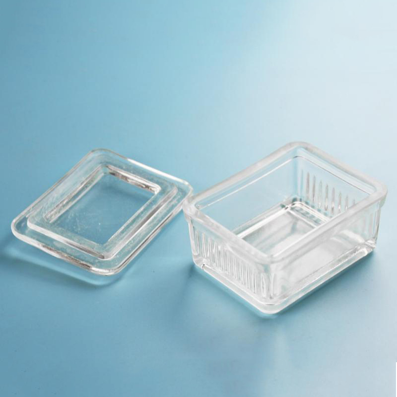 High Transparent Glass Staining Jar 5/9/10 Pieces Object Plate Dyeing Rack Glass Staining Jar Vertical Lying