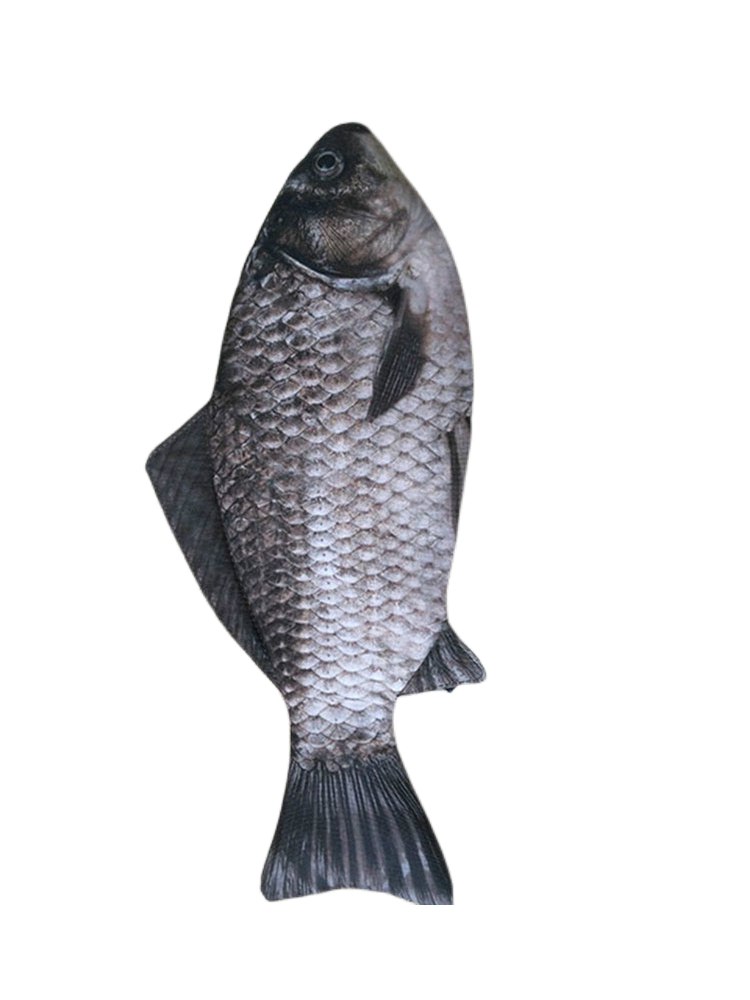 Penaali kawaii penaali iso paperitavaralaukku kala korealaistyylinen kynärasia kynäpussi toimisto- ja koulutarvikkeet