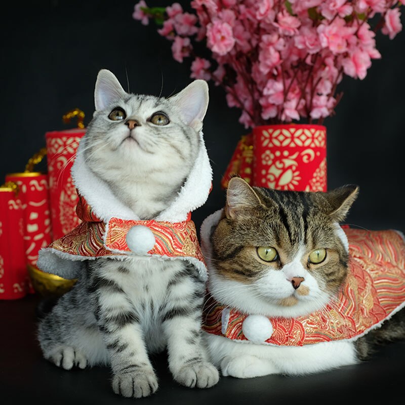 Dejlige kattetøj jul kinesisk tøj sphynx kattetøj kæledyr ubranka dla tilbehør yy50ct – Grandado