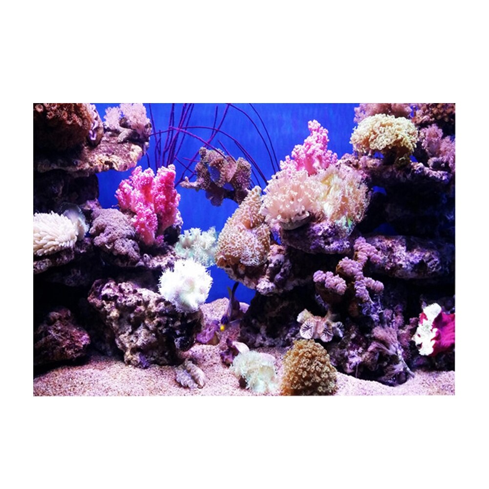 Adhesive Poster Fish Tank Background Paper Aquarium Poster Plants Aquarium Fish Tank Decoration Plants Backdrop Aquarium Decor: 61 x 30cm