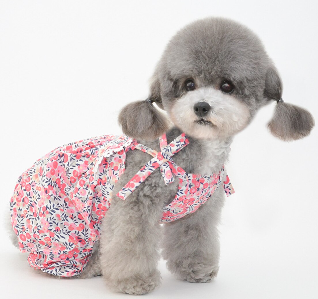 Hond Kleren Lente En Zomer Kat Kleren Kleding Vest Sling Kleine Hond Dunne Gedeelte Teddy Bomei