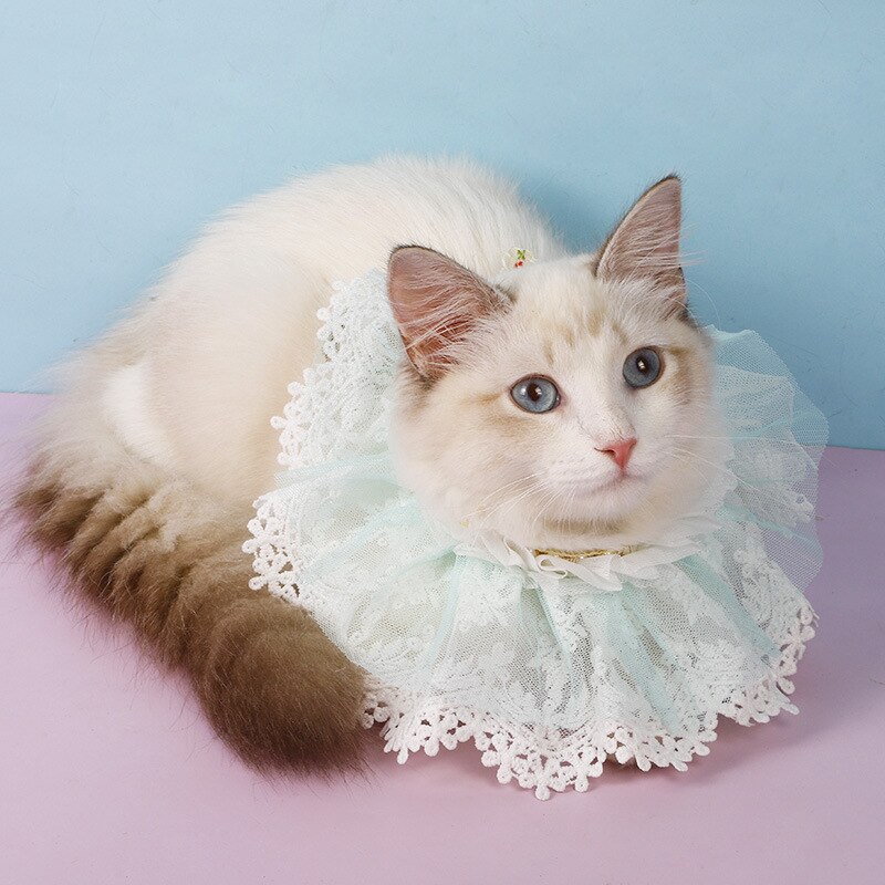 Lusso pizzo cane gatto fazzoletto da collo collare bella collana Pet bavaglino Bandana collari cucciolo gatti cravatta per animali domestici sciarpa festa di nozze