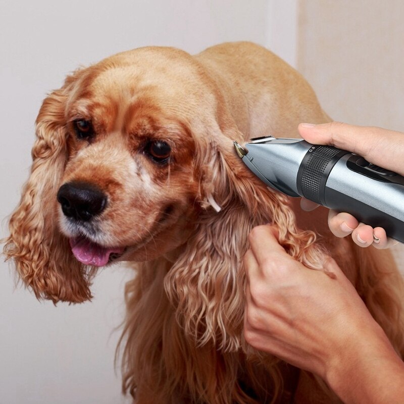 Dog Clippers Low Noise Pet Clippers Rechargeable Dog Trimmer Cordless Pet Grooming Tool with Comb Nail Kits