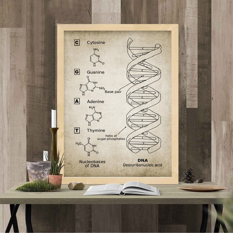 Dna En Rna Genetische Code Muur Art Prints Genetica Biochemie Student Vintage Wetenschap Retro Poster Kraftpapier