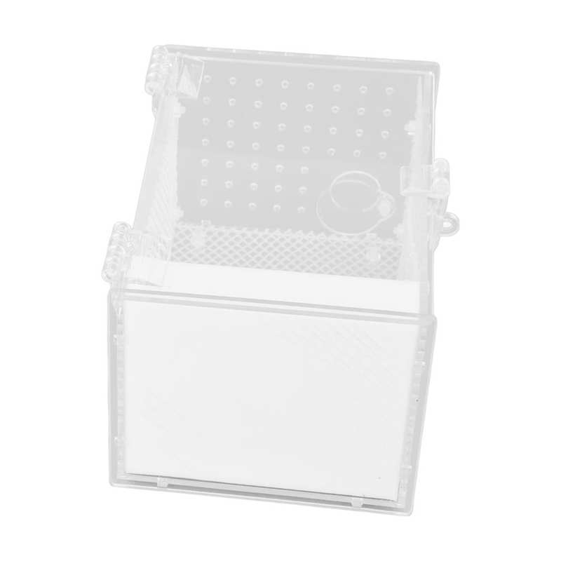Insects House Landscaping Insect Rearing Box Transparent Feeding Hole Easy Cleaning Acrylic with Climbing Net for Insect Feeding