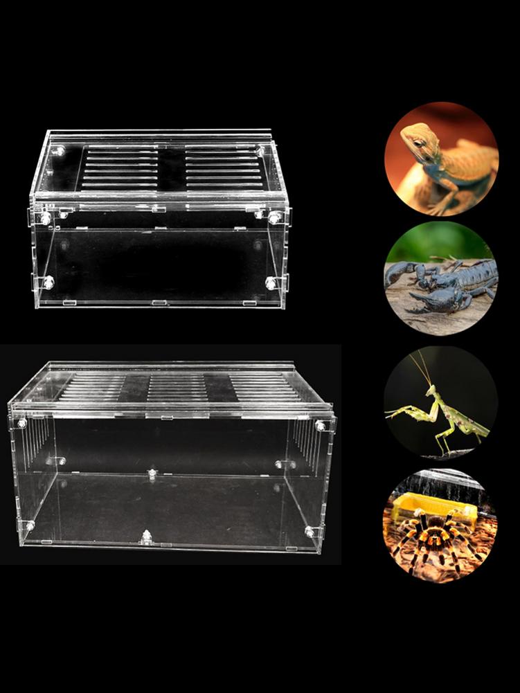 Pet Reptile Breeding Box Through Insect Breeding Box Snake Spider Lizard Scorpion Amphibian Breeding Box Crawling Pet Breeding