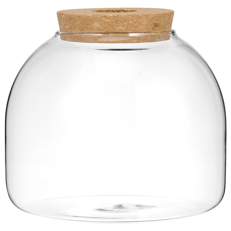 Kurk Glazen Fles Plant Terrarium Grote Micro Landschap Bloempotten Ecosysteem Kleine Container Beugel Koekjestrommel Kantoor: Default Title